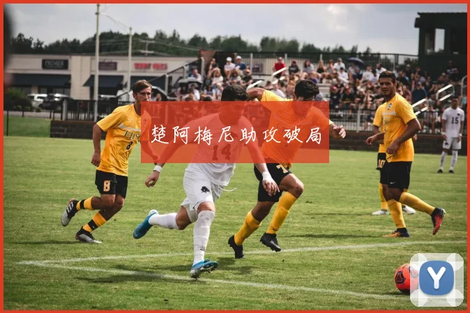 楚阿梅尼助攻破局