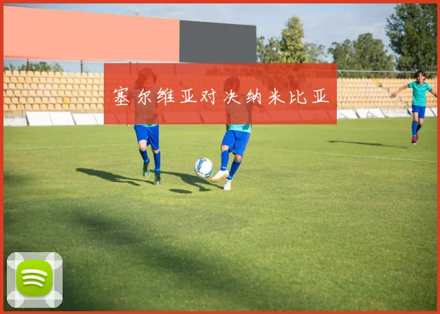 塞尔维亚对决纳米比亚