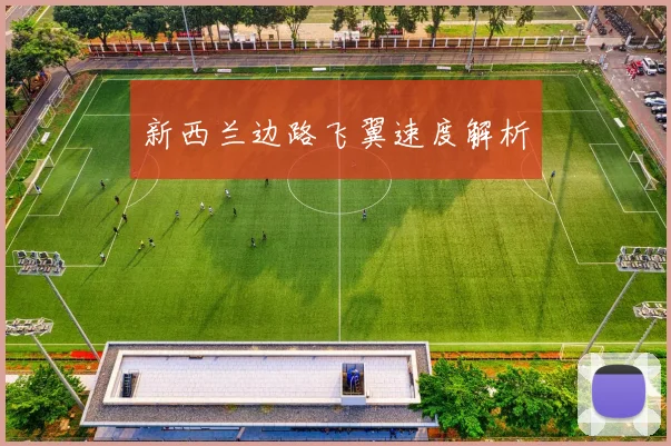 新西兰边路飞翼速度解析