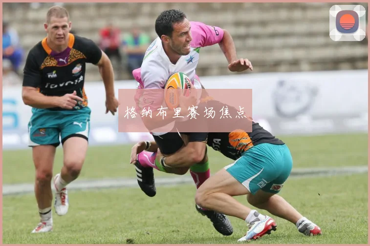 格纳布里赛场焦点