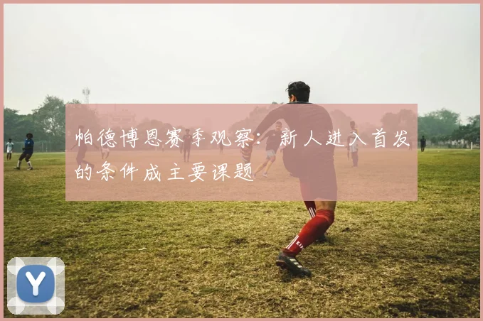 帕德博恩赛季观察：新人进入首发的条件成主要课题