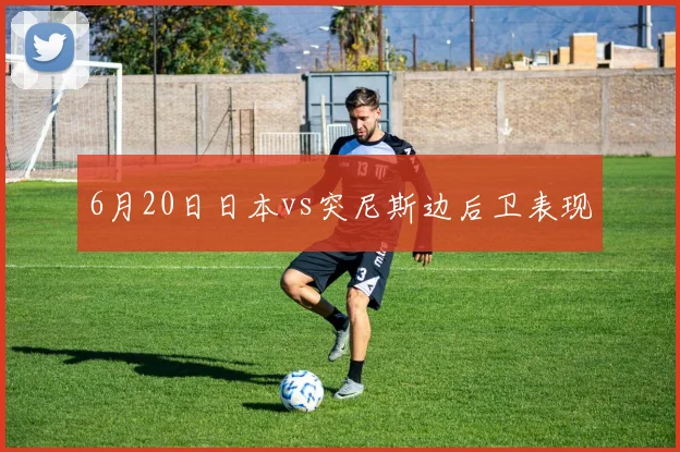 6月20日日本vs突尼斯边后卫表现