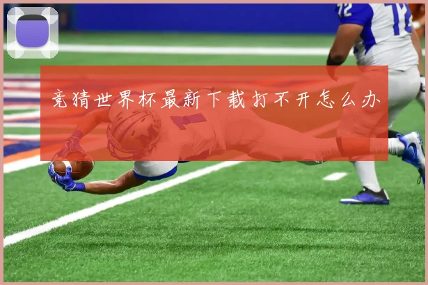 竞猜世界杯最新下载打不开怎么办