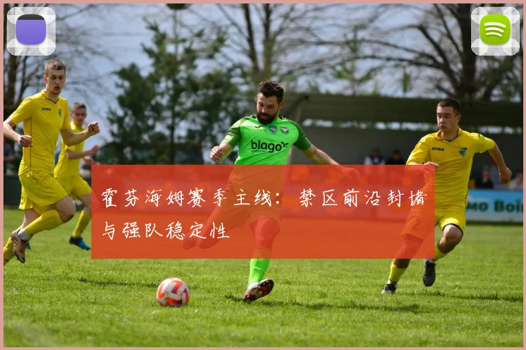 霍芬海姆赛季主线：禁区前沿封堵与强队稳定性