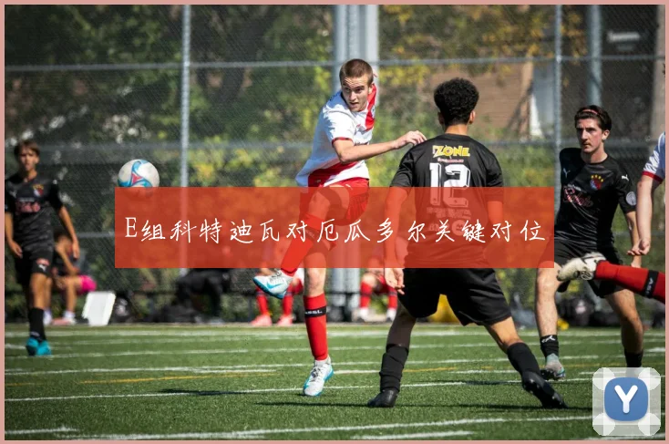 E组科特迪瓦对厄瓜多尔关键对位